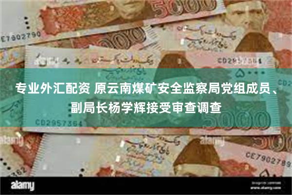 专业外汇配资 原云南煤矿安全监察局党组成员、副局长杨学辉接受审查调查