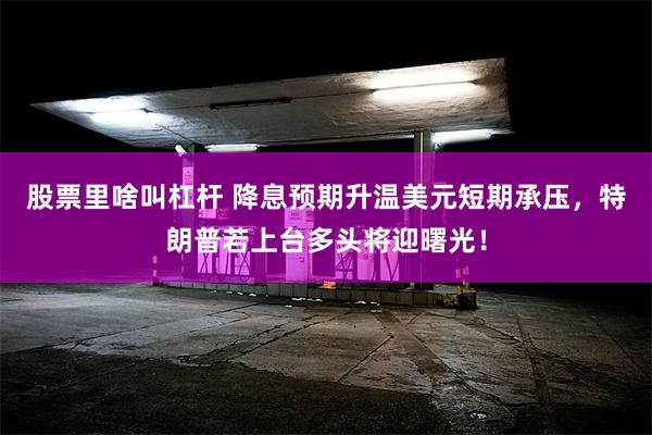 股票里啥叫杠杆 降息预期升温美元短期承压，特朗普若上台多头将迎曙光！