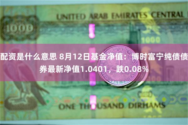 配资是什么意思 8月12日基金净值：博时富宁纯债债券最新净值1.0401，跌0.08%