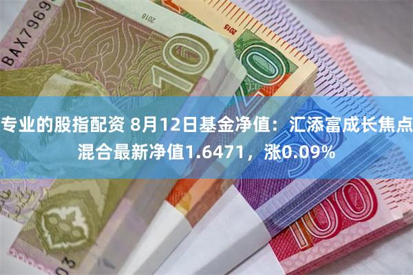 专业的股指配资 8月12日基金净值：汇添富成长焦点混合最新净值1.6471，涨0.09%