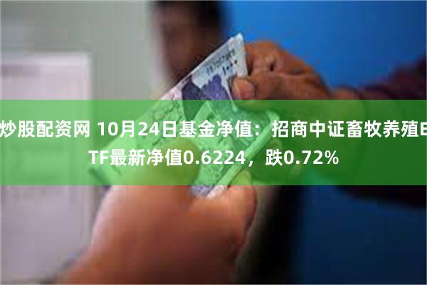 炒股配资网 10月24日基金净值：招商中证畜牧养殖ETF最新净值0.6224，跌0.72%