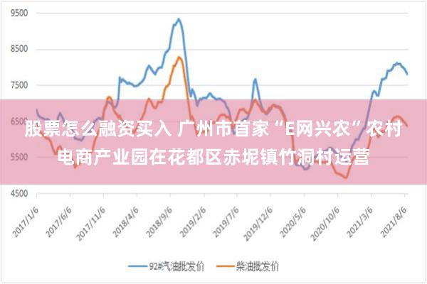 股票怎么融资买入 广州市首家“E网兴农”农村电商产业园在花都区赤坭镇竹洞村运营