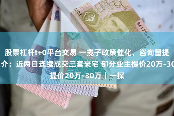 股票杠杆t+0平台交易 一揽子政策催化，咨询量提升30% 中介：近两日连续成交三套豪宅 部分业主提价20万-30万｜一探