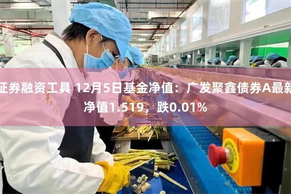 证券融资工具 12月5日基金净值：广发聚鑫债券A最新净值1.519，跌0.01%