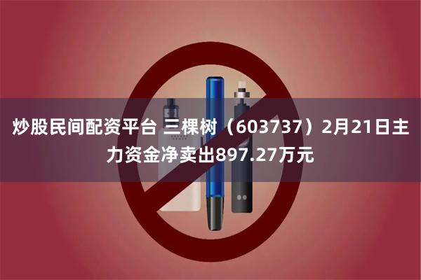 炒股民间配资平台 三棵树（603737）2月21日主力资金净卖出897.27万元